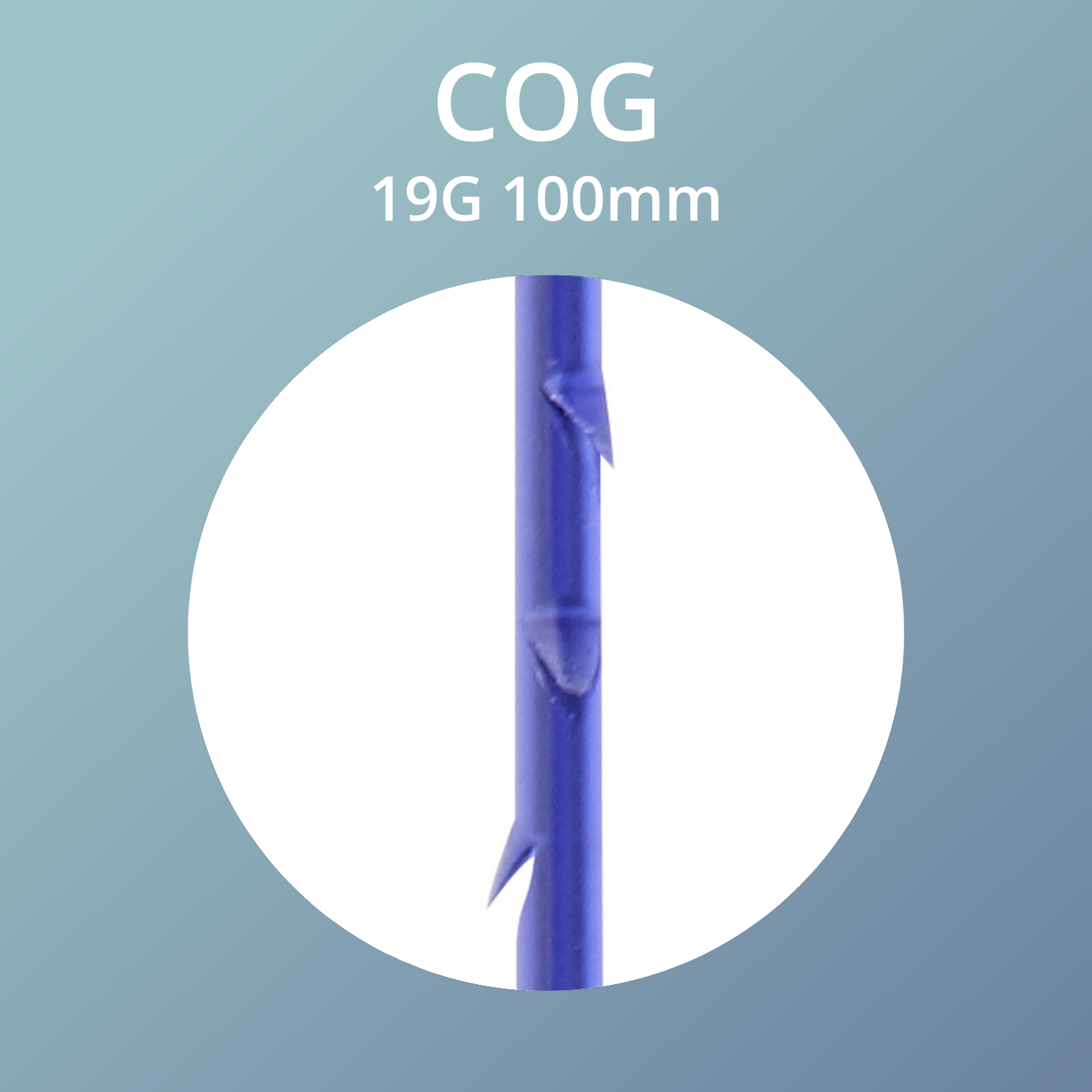 LINE DERM FIO PDO COG 19G 100MM L